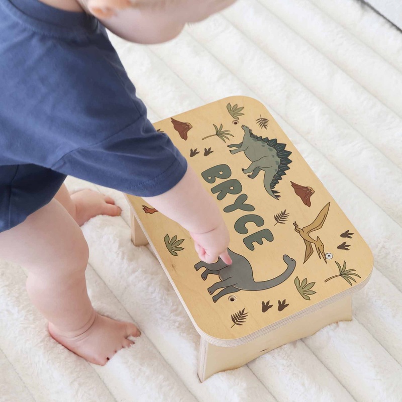 Kids Personalized Step Stool | Dino Dude