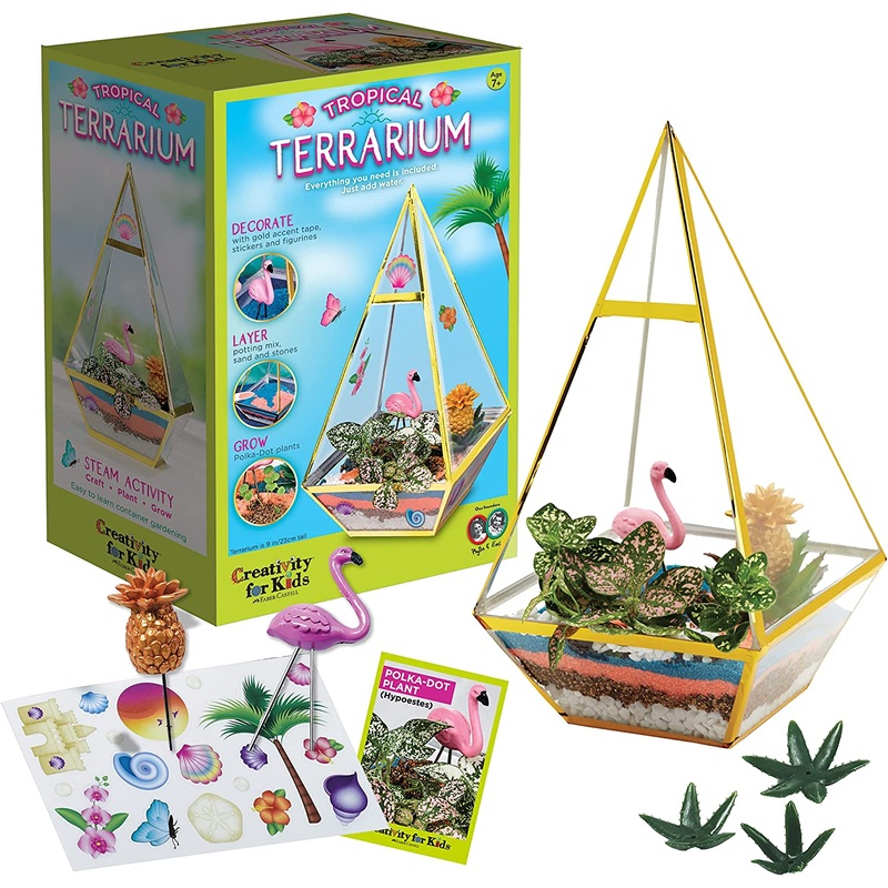Creativity for Kids 6322 Tropical Terrarium