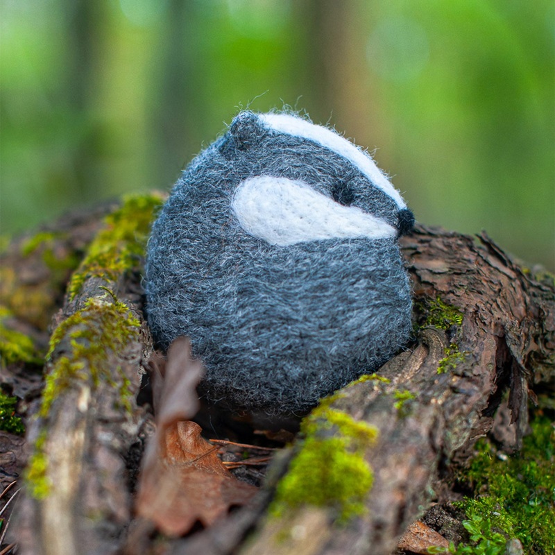 Felting Kit – Bagder