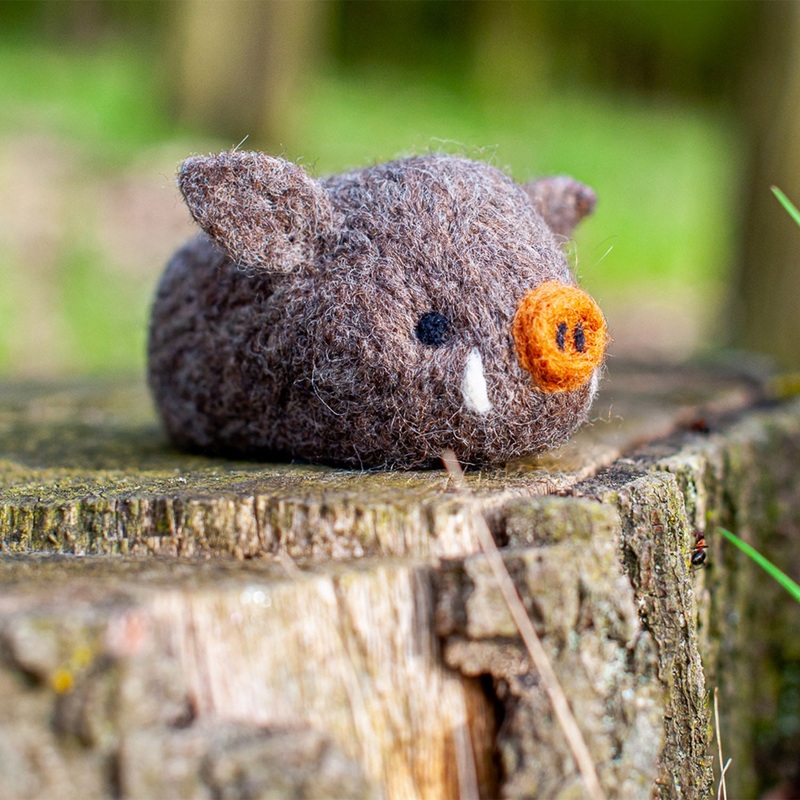 Felting Kit – Boar