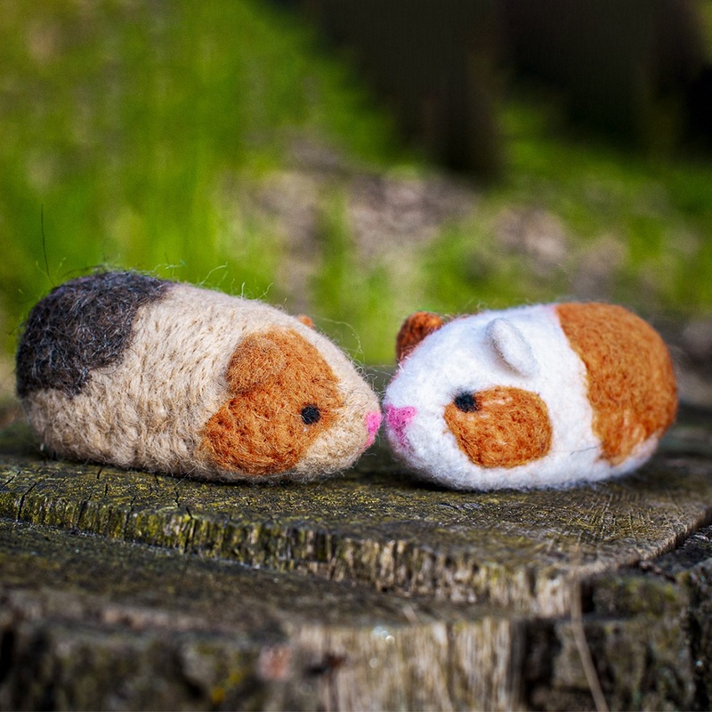 Felting Kit – Guinea Pigs