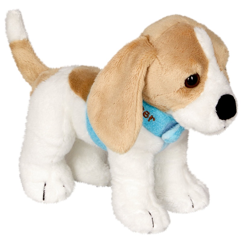 Beagle Cooper – Lustige Tierparade